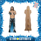 AJ Styles WWE Cardboard Cut Out