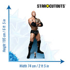 The Rock WWE Cardboard Cut Out (Arms Folded)