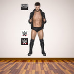 Finn Balor WWE Decal 2 + Bonus Wall Sticker Set