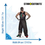 Rey Mysterio WWE Cardboard Cut Out #1
