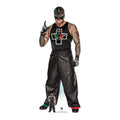 Rey Mysterio WWE Cardboard Cut Out 2