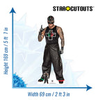 Rey Mysterio WWE Cardboard Cut Out 2