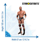 Triple H WWE Cardboard Cut Out