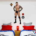 Randy Orton WWE Decal + Bonus Wall Sticker Set