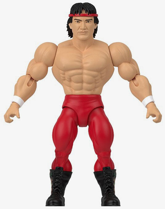 Ricky “The Dragon” Steamboat WWE Superstars Series #13 Action Figure ...