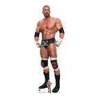 Triple H WWE Cardboard Cut Out