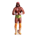 Macho Man Randy Savage WWE Cardboard Cut Out