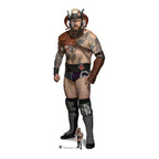 Erik WWE Cardboard Cut Out