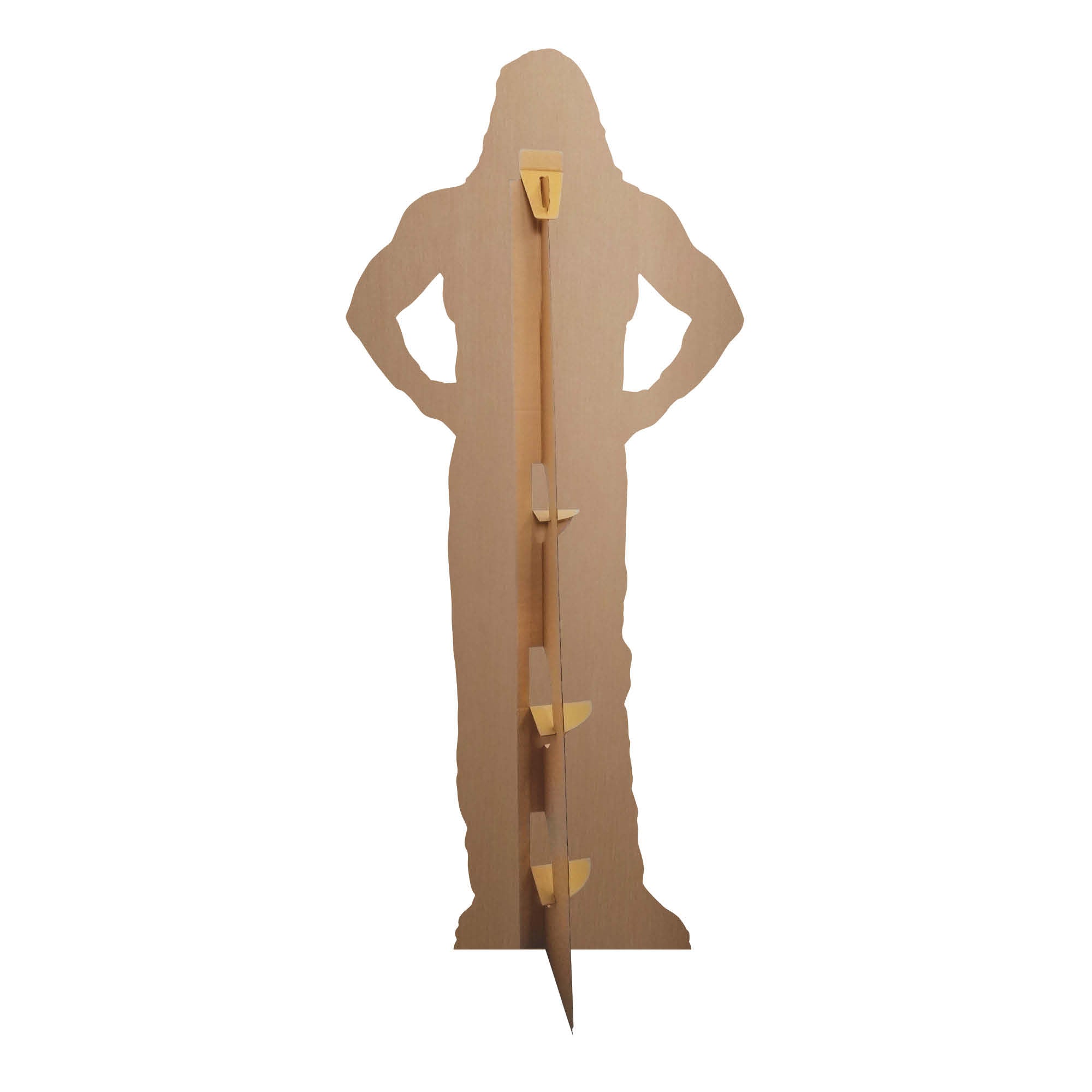 Kevin Nash WWE Cardboard Cut Out (nWo)