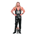 Kevin Nash WWE Cardboard Cut Out (nWo)