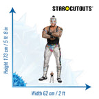 Rey Mysterio WWE Cardboard Cut (Silver)