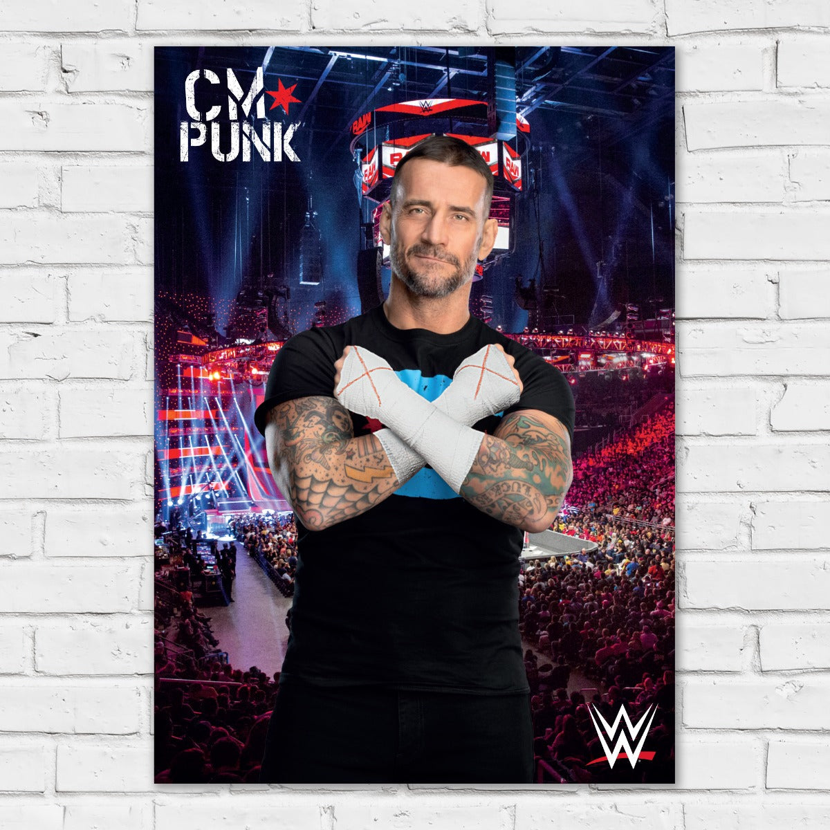 CM Punk WWE Crowd Print Poster