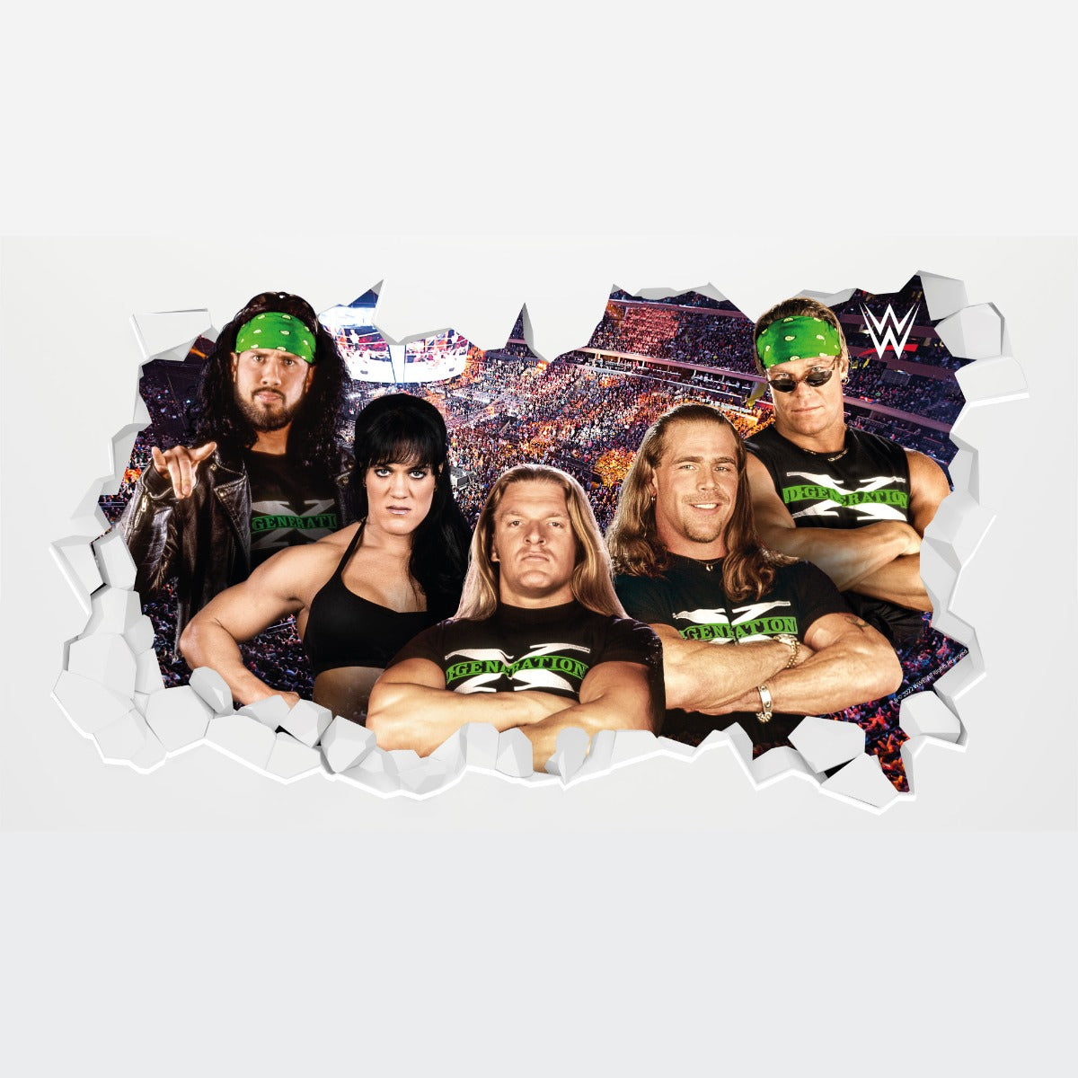 D-Generation X WWE Broken Wall Sticker