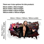 Seth Rollins WWE 2023 Broken Wall Sticker