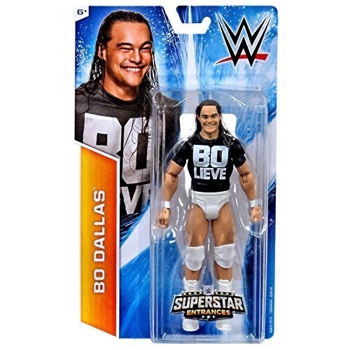 Bo Dallas  - WWE Superstar Entrances Series Action Figure (With T-Shirt)