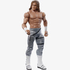 Dolph Ziggler - WWE Basic Series #76