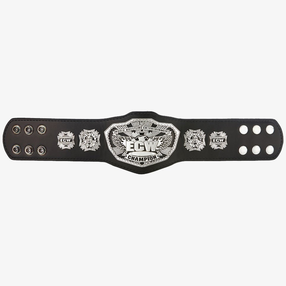 ECW Championship (2008 Version)