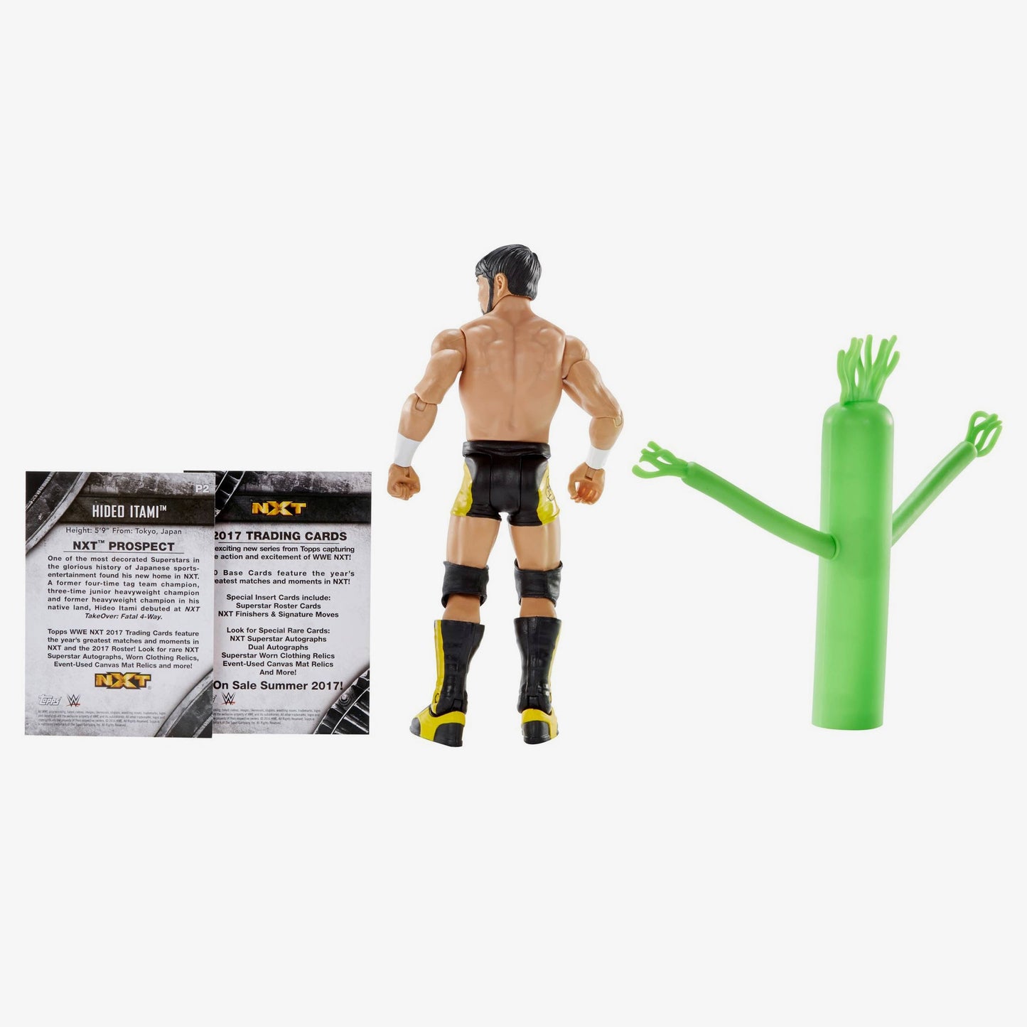 Hideo Itami - NXT TakeOver Basic Series #1