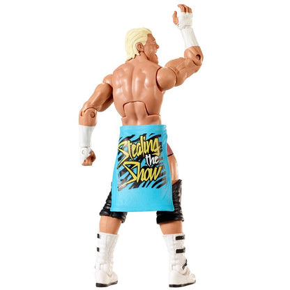 Dolph Ziggler WWE Elite Collection Series #24 Action Figure