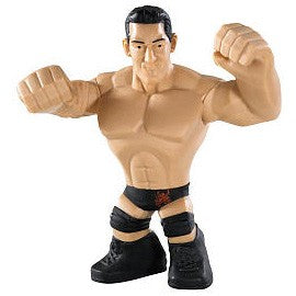 Wade Barrett WWE Rumbler Action Figure