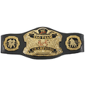 WWE Raw World Tag Team Toy Belt
