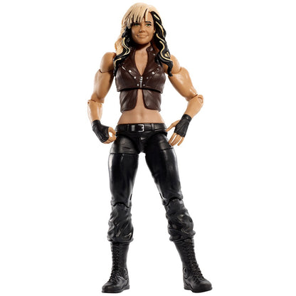 Kaitlyn - Best of 2013 - WWE Superstar Series Action Figure