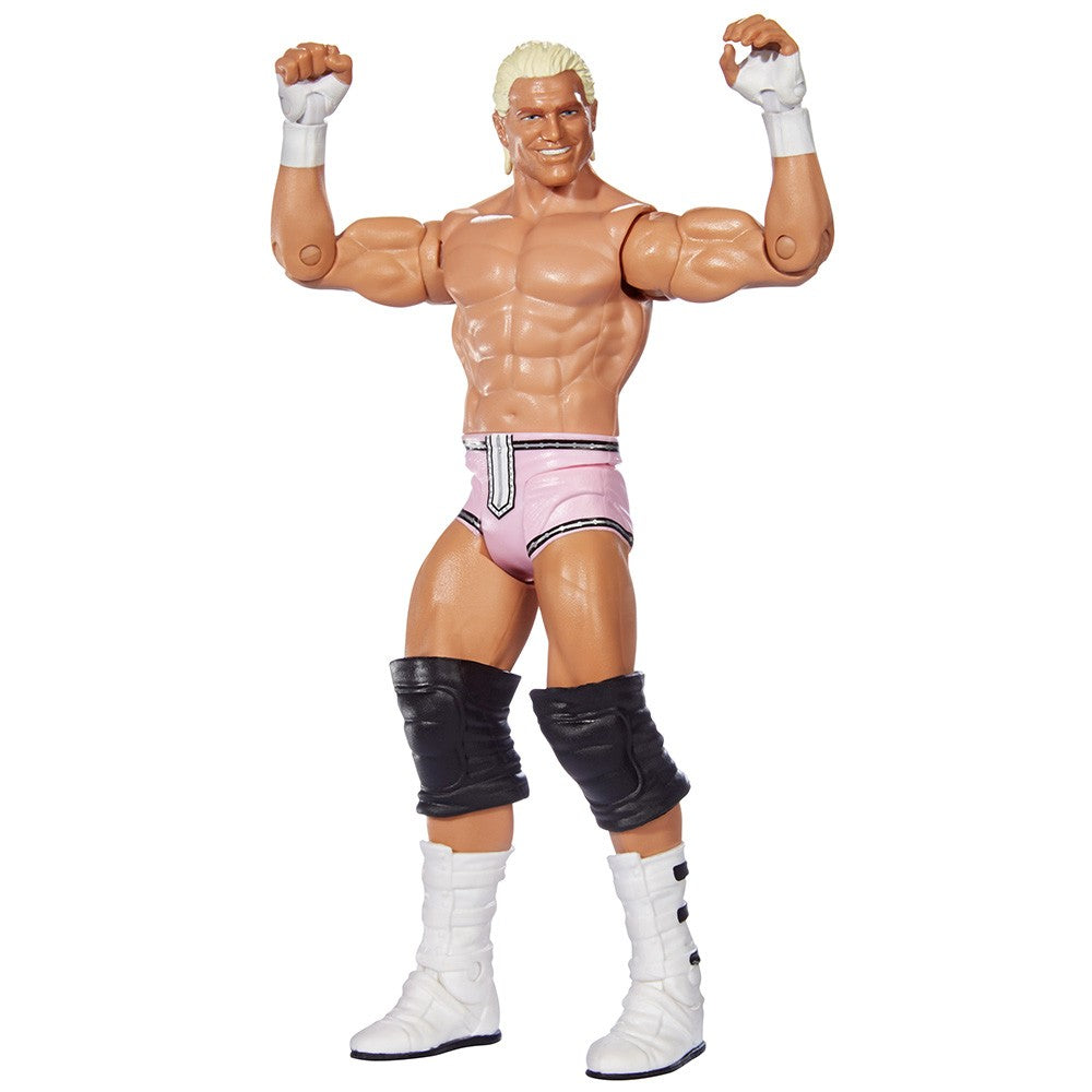 Dolph Ziggler - WWE Superstar Series #38 Action Figure