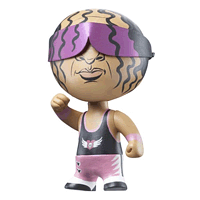 Bret Hitman Hart Vinyl Aggression 3" Internet Exclusive Figure