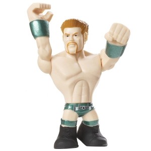 Sheamus WWE Rumbler Action Figure