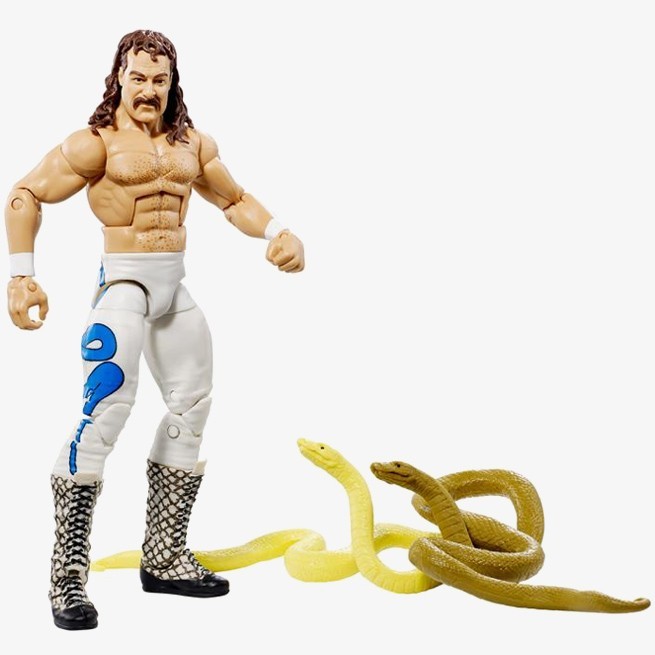 Jake The Snake Roberts WWE Hall of Fame Elite Collection Series #4