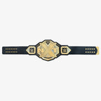 NXT Championship (2017 Version)
