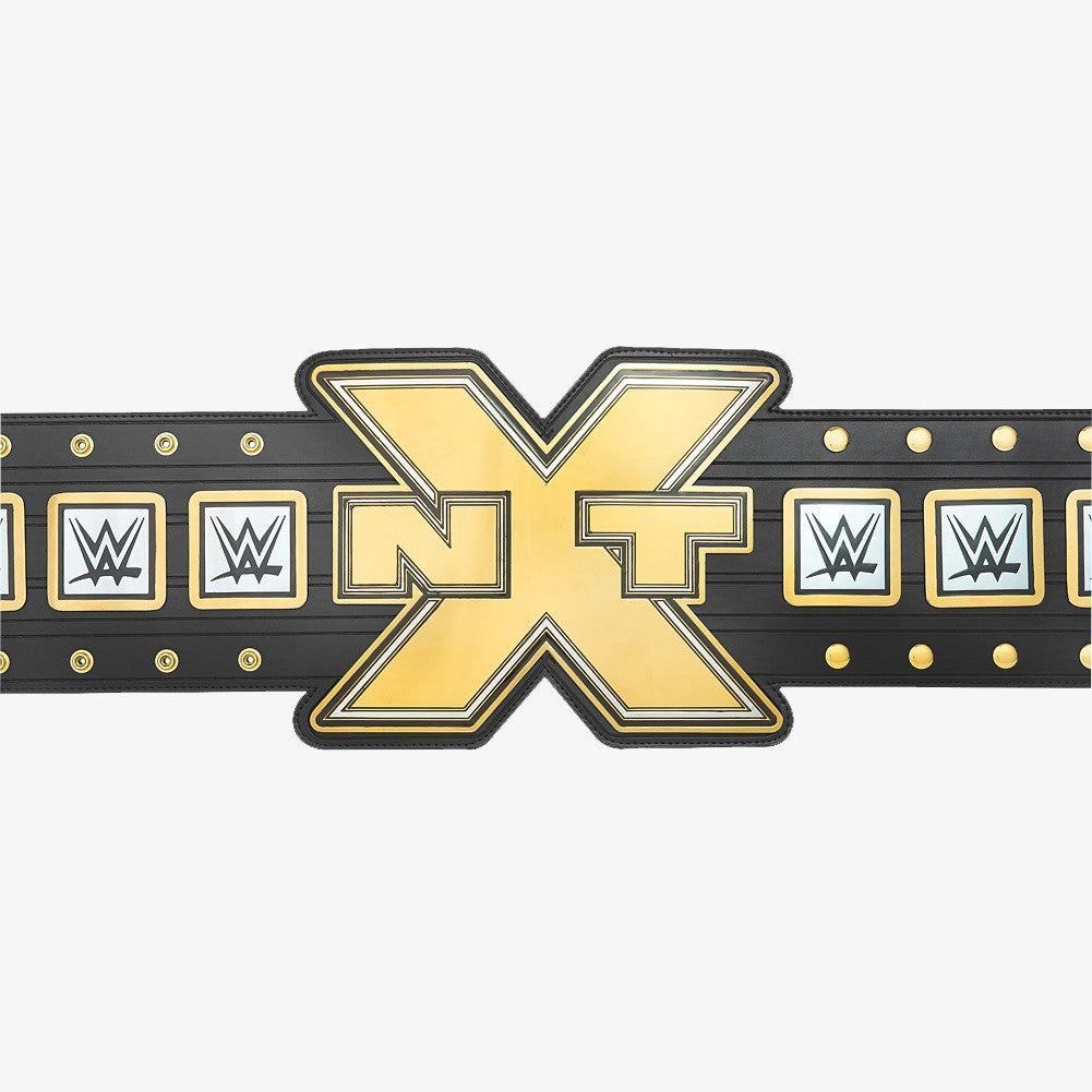 NXT Championship