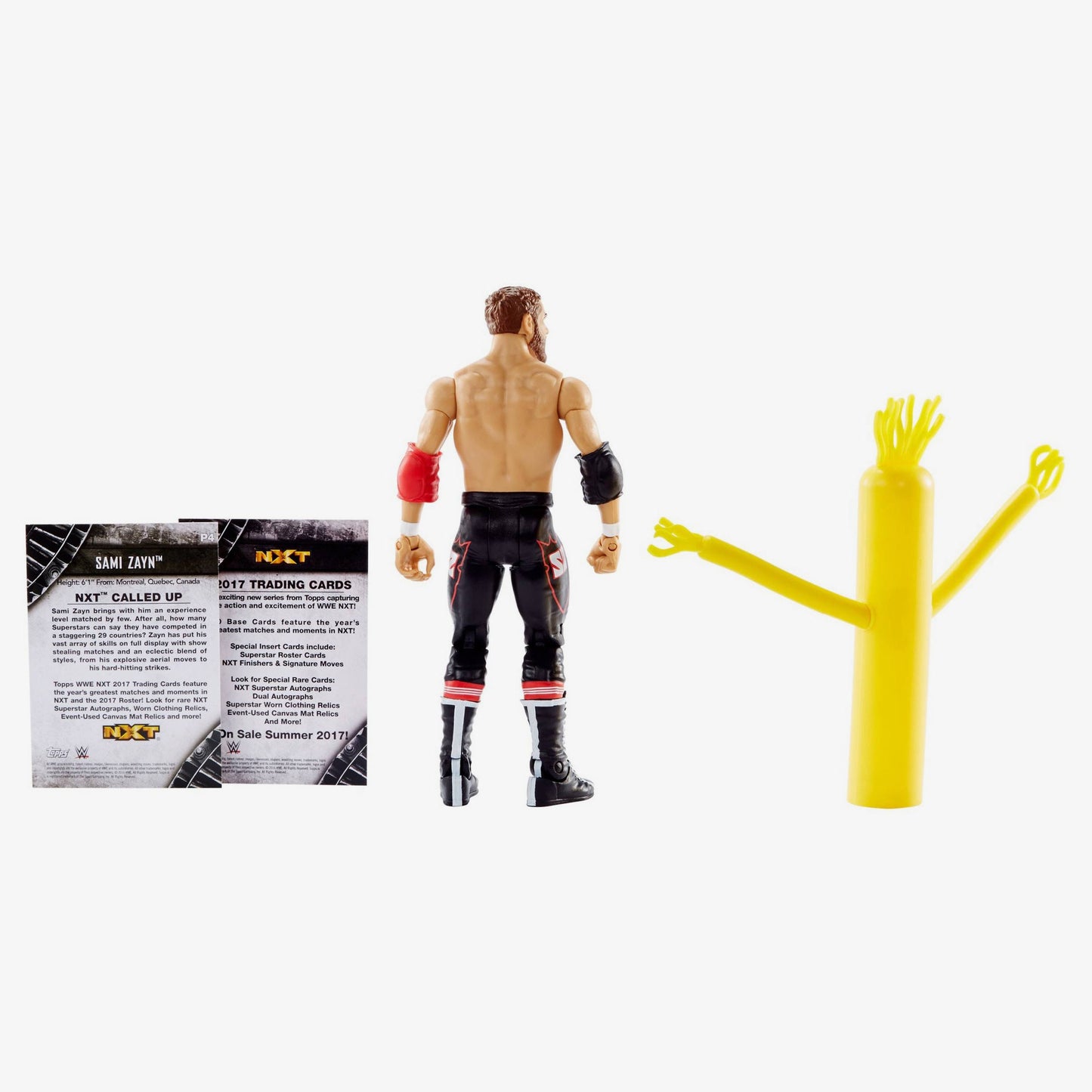 Sami Zayn - NXT TakeOver Basic Series #1