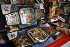 Signed WWE UK Championship + Tyler Bate UK Champion WWE Elite Collection
