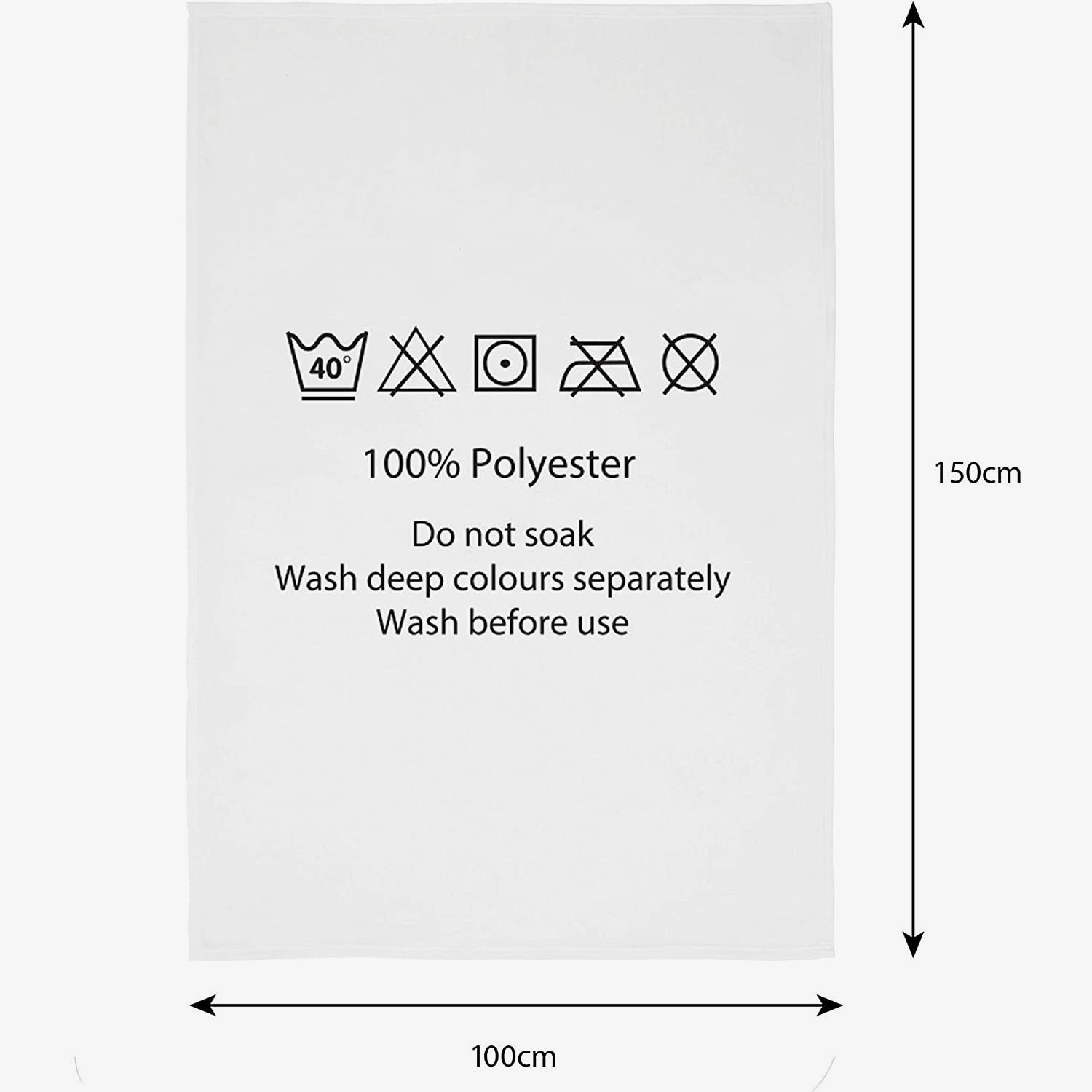 WWE Championship Fleece Blanket