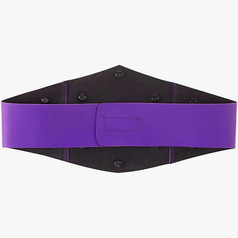 WWE Cruiserweight Championship (Purple Strap)