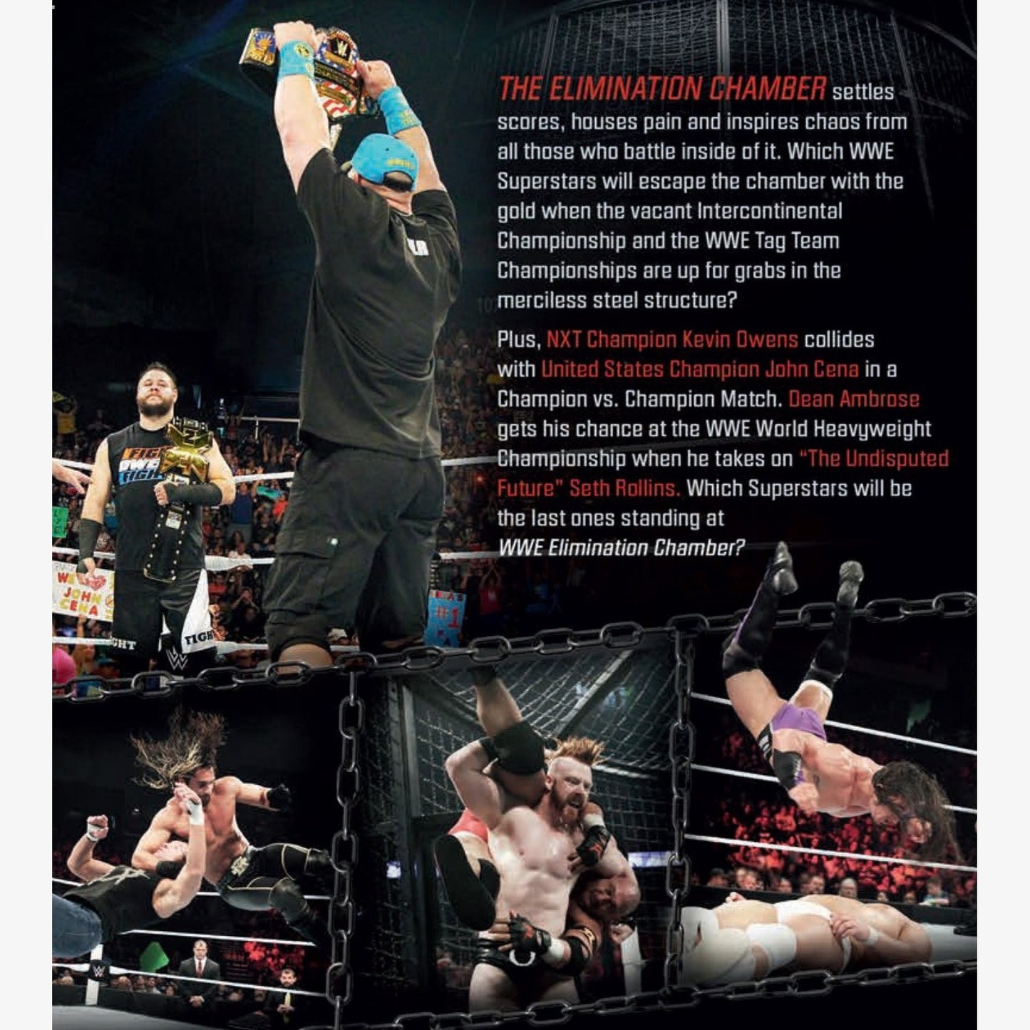 WWE Elimination Chamber 2015 DVD