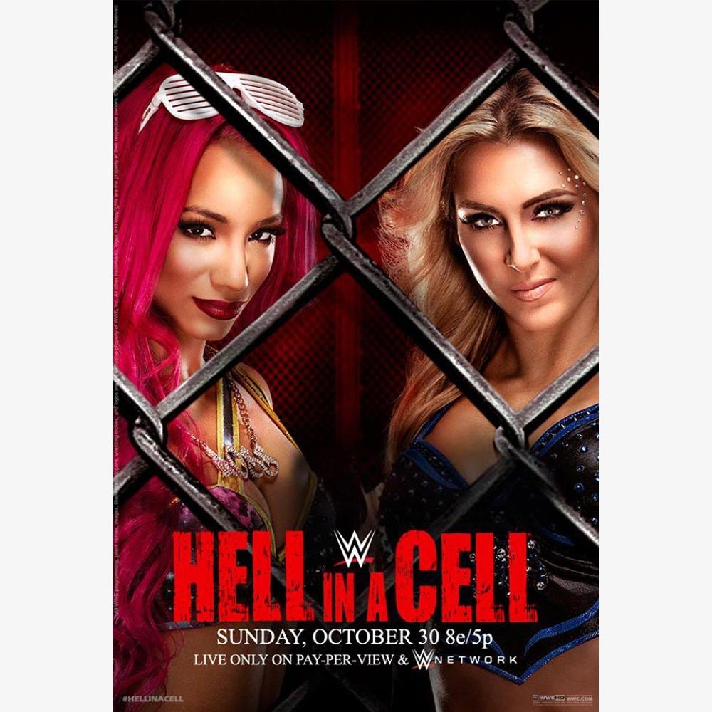 WWE Hell in a Cell 2016 DVD