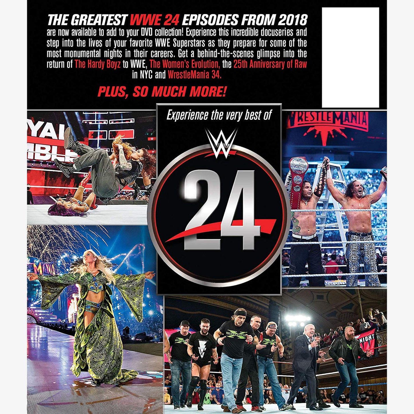 WWE 24: The Best of 2018 DVD